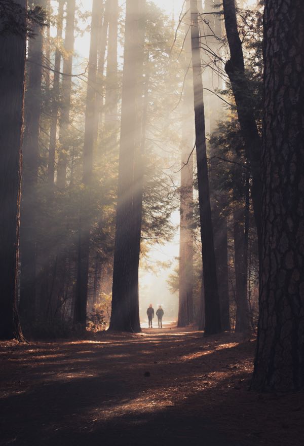 Casey Horner D4TooCIEyF4 Unsplash